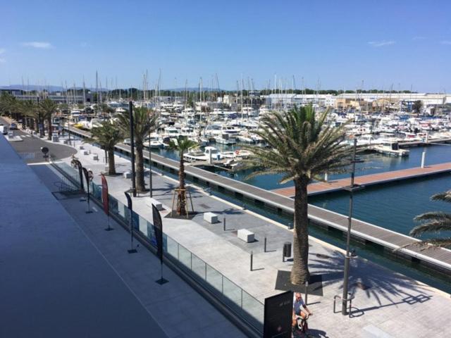 Appartement T2 Au Port De Canet-En-Roussillon - Proche De La Plage Et De L'Aquarium Oniria Bagian luar foto